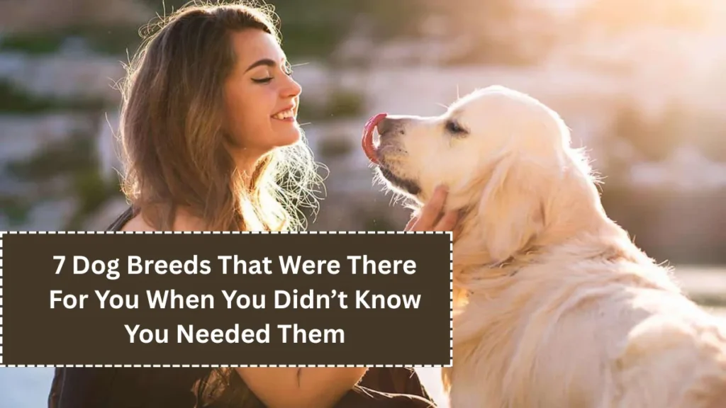 7 Dog Breeds That Were There For You When You Didn’t Know You Needed Them