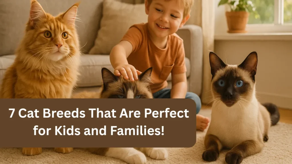 7 Cat Breeds That Are Perfect for Kids and Families!