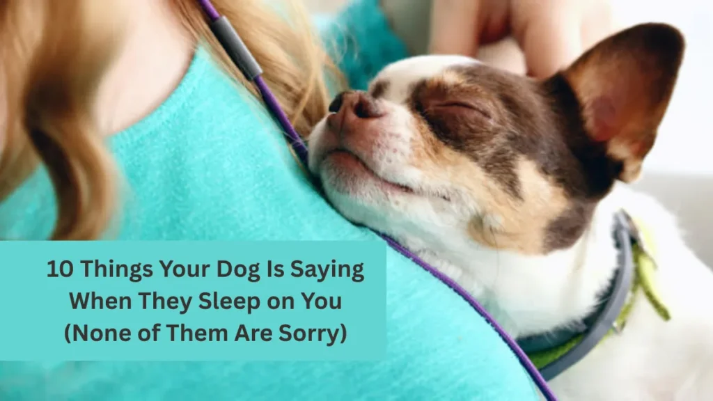 10 Things Your Dog Is Saying When They Sleep on You (None of Them Are Sorry)