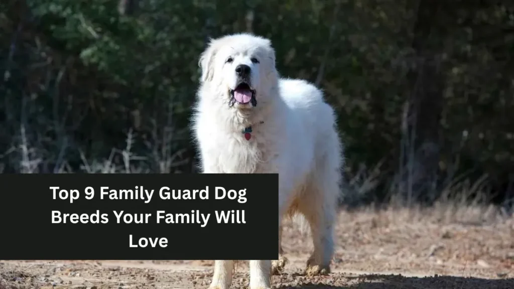 Top 9 Family Guard Dog Breeds Your Family Will Love