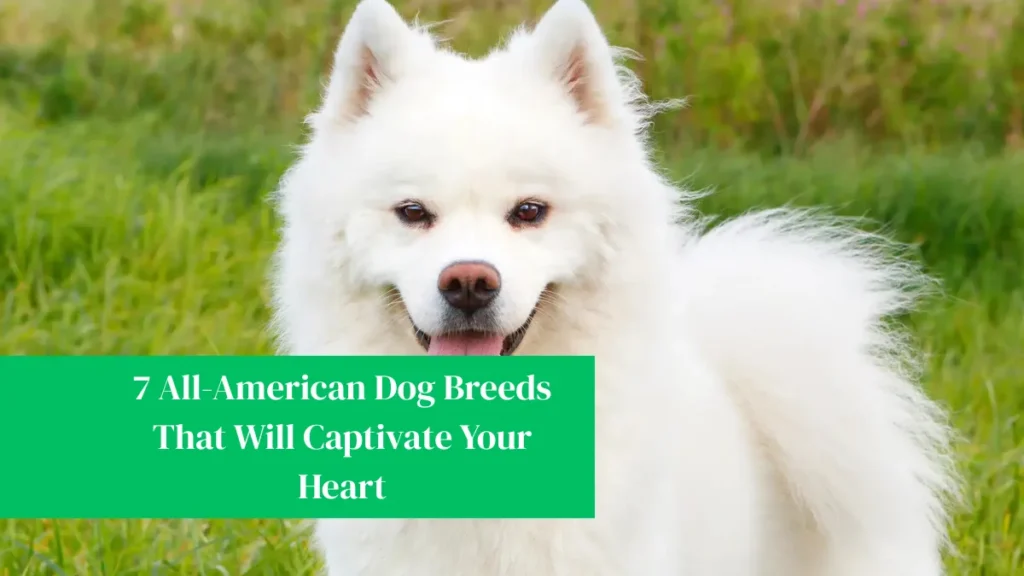 7 All-American Dog Breeds That Will Captivate Your Heart